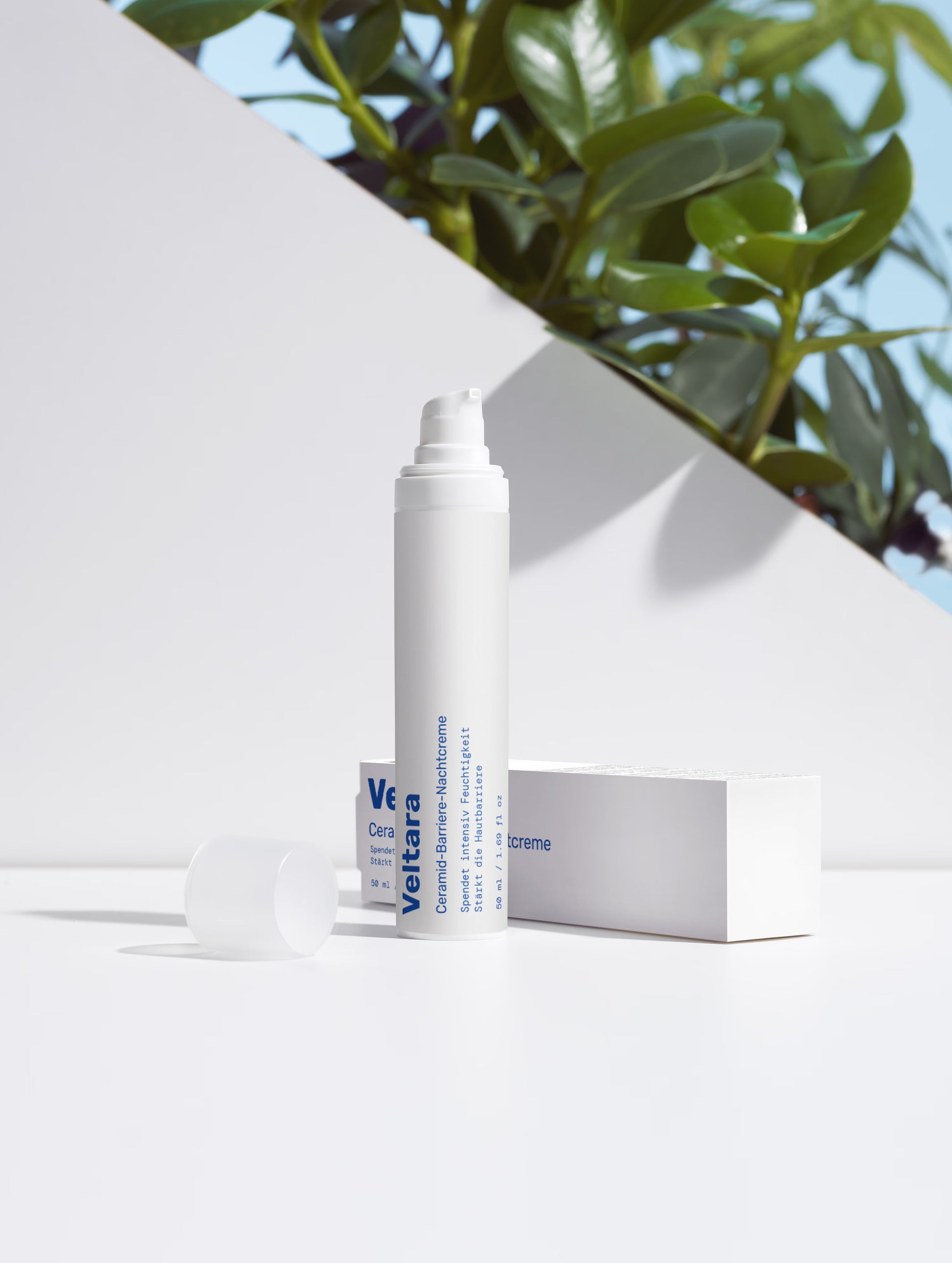 Ceramide Nachtcreme von Veltara – Wirkstoffe Ceramide, Sheabutter und Hyaluron