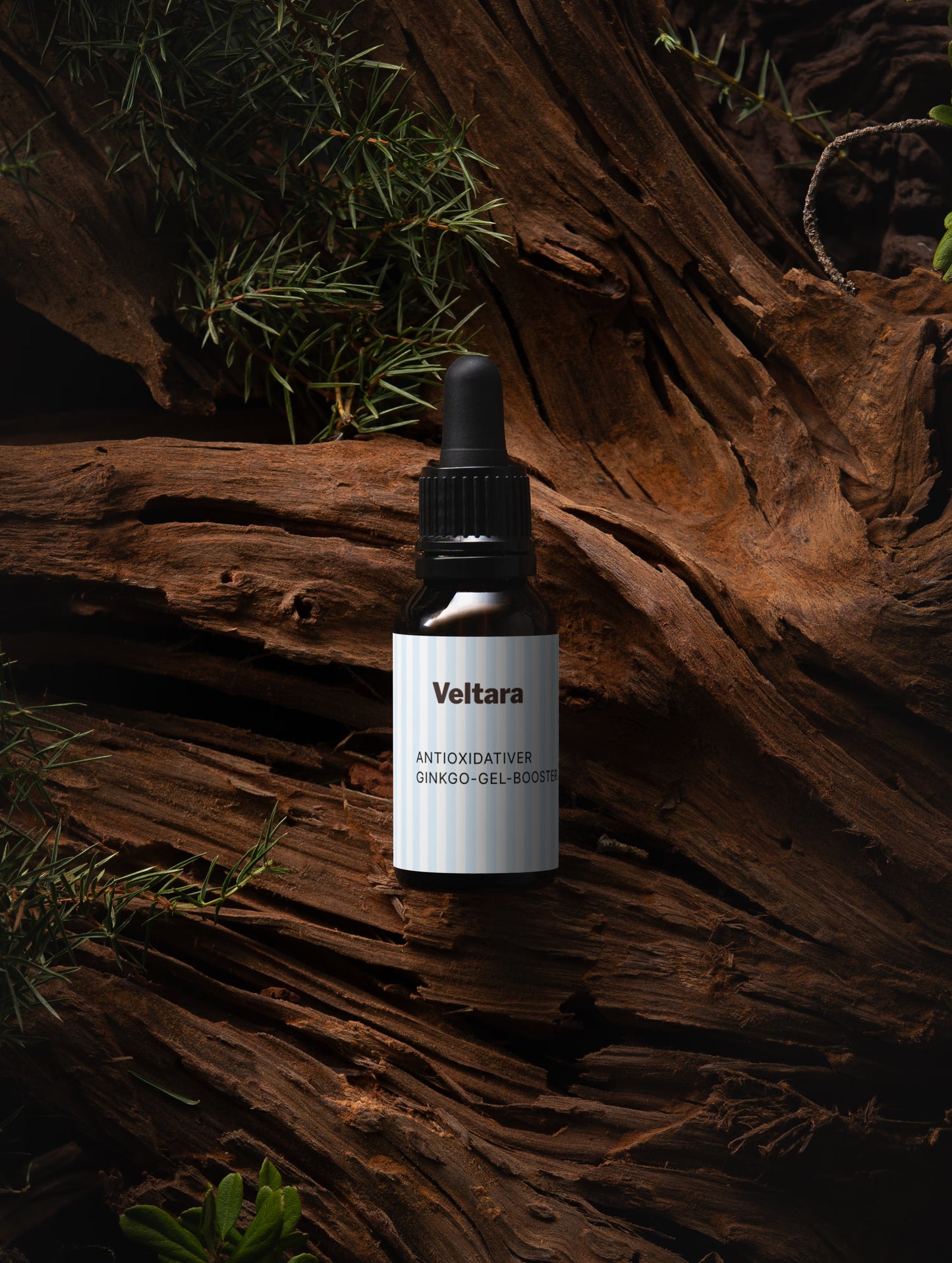 Ginkgo Gel Booster – antioxidativer Schutz für müde, fahle Haut